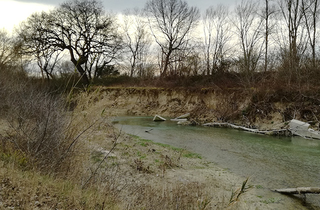 Erosione della sponda sinistra del fiume Misa nella zona Molino Marazzana di Senigallia