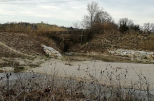 Il fosso del Sambuco, zona Molino Marazzana di Senigallia