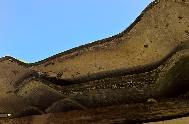 Le lastre di cemento amianto rinvenute in via Baroccio a Senigallia