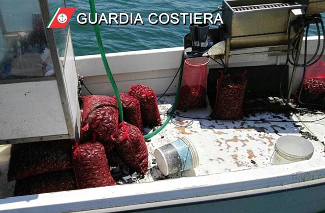 La Guardia Costiera ha sequestrato 300 kg di cozze pescate senza autorizzazione