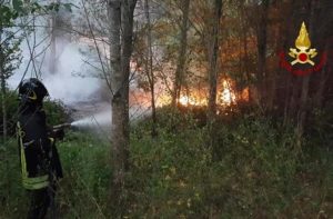I Vigili del fuoco impegnati contro gli incendi boschivi