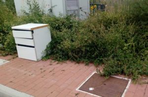 Rifiuti abbandonati, erba alta e incuria in via Perugino, a Senigallia