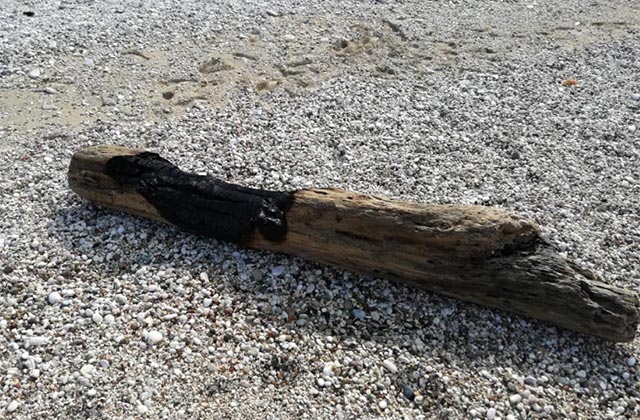 Tronco annerito sulla spiaggia di Mezzavalle (Foto: Comitato Mezzavalle Libera)