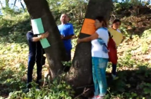 Il flash mob delle associazioni ambientaliste lungo il fiume Misa per salvare gli alberi