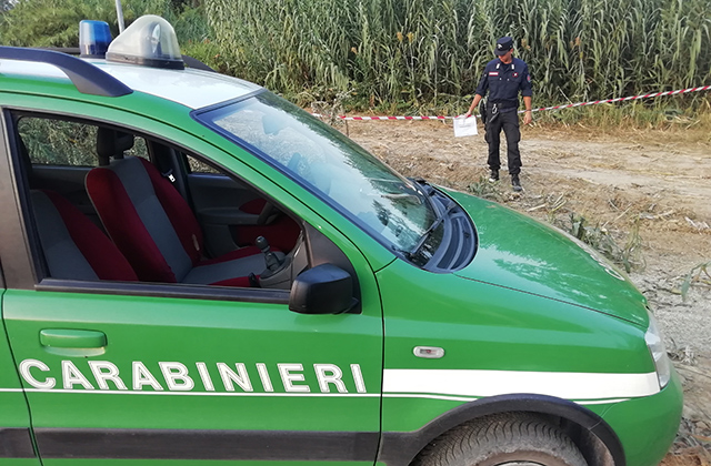 L'intervento dei Carabinieri Forestali a Serra de' Conti