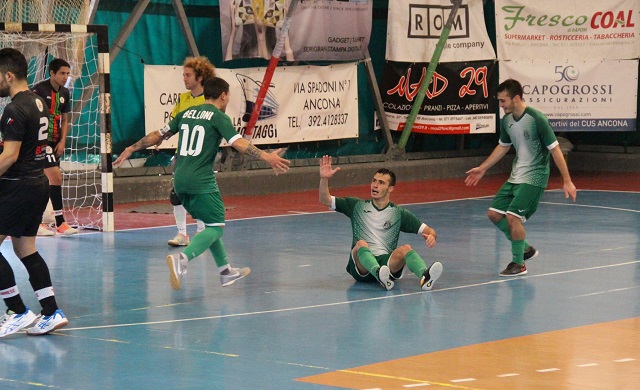 Futsal, il Cus Ancona verso Cagli con l'A&S sullo sfondo - centropagina.it