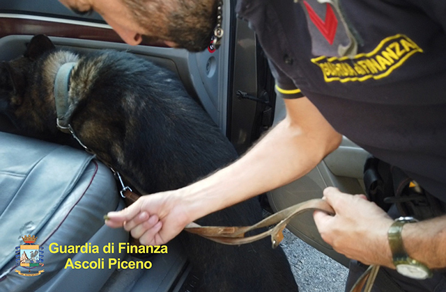 I controlli della Guardia di Finanza di Ascoli Piceno con l'ausilio delle unità cinofile
