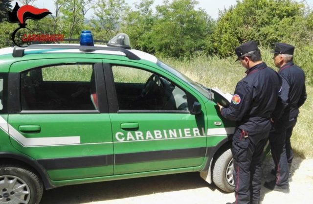 I carabinieri forestali di Pesaro Urbino