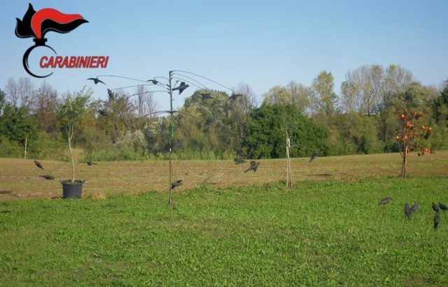 La giostra con richiamo per uccellini vietato è stata sequestrata dai Carabinieri forestali