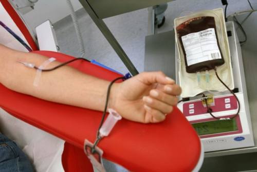 «Donare il sangue in sicurezza si può»: riprese a pieno regime le attività dell’Avis nel Maceratese