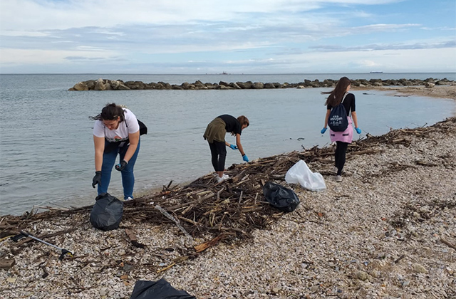 La pulizia della spiaggia a Falconara Marittima