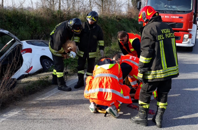 I soccorsi per l'incidente a Campocavallo di Osimo|Il recupero dell'auto nel fossato a Osimo