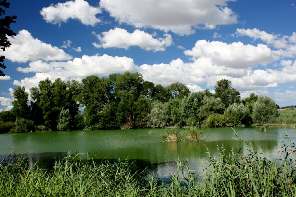 L'Esino alla Riserva di Ripa Bianca