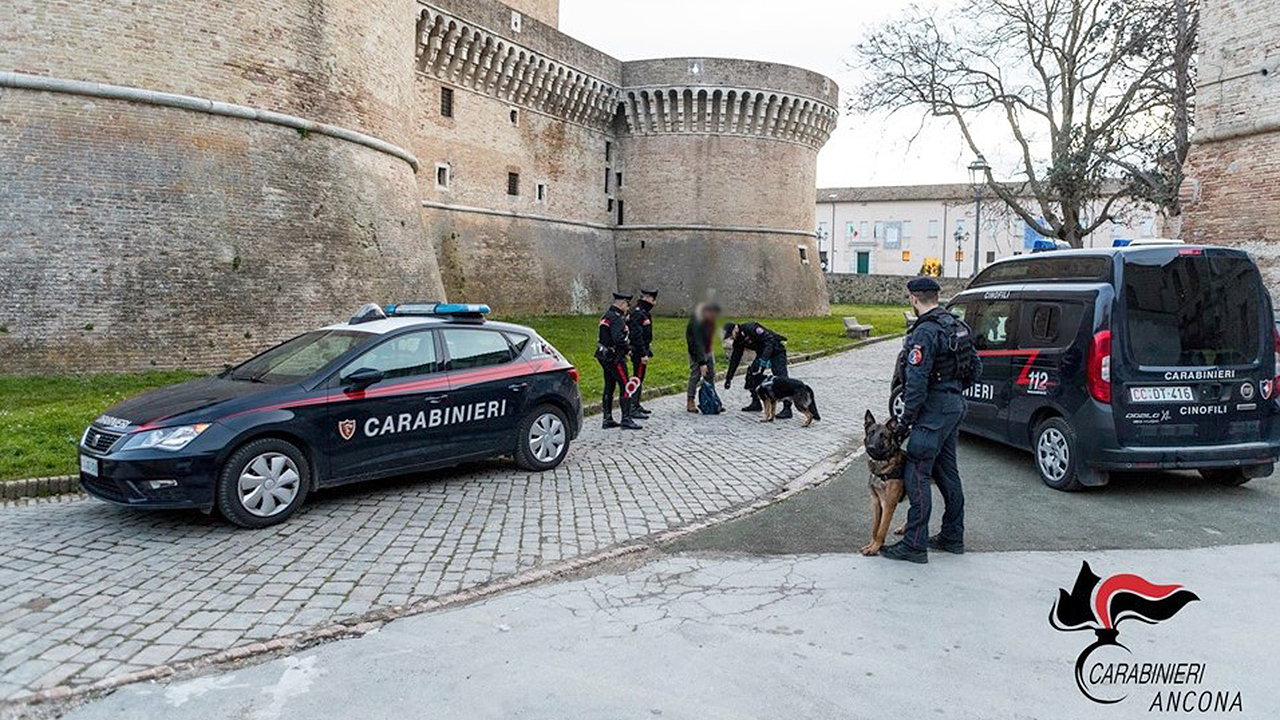 I controlli antidroga dei carabinieri, in centro storico, a Senigallia