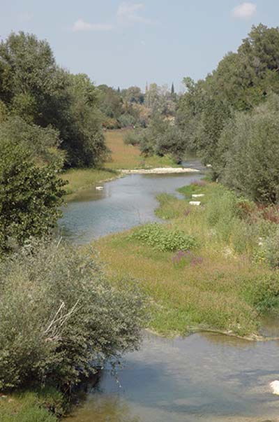 Jesi, Riserva di Ripa Bianca