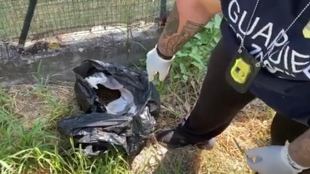Il gatto deceduto rinvenuto tra i rifiuti all'esterno di una casa a Trecastelli