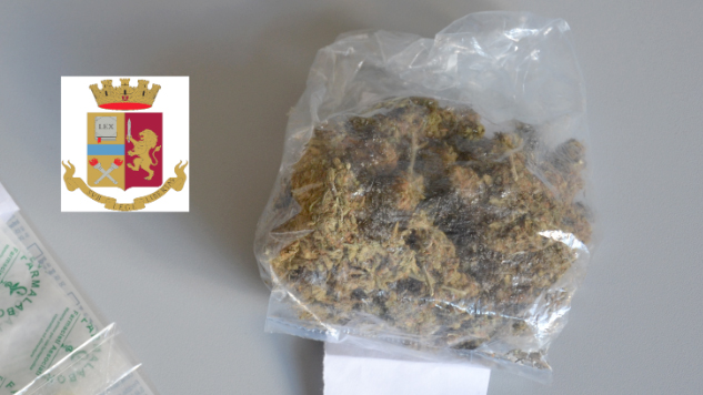 La marijuana sequestrata a Senigallia dalla polizia