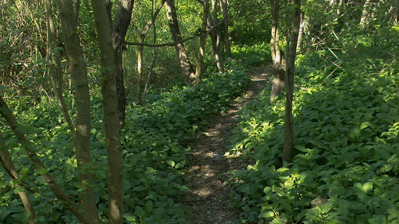 Percorsi ciclabili immersi nella natura nella valle del Cesano