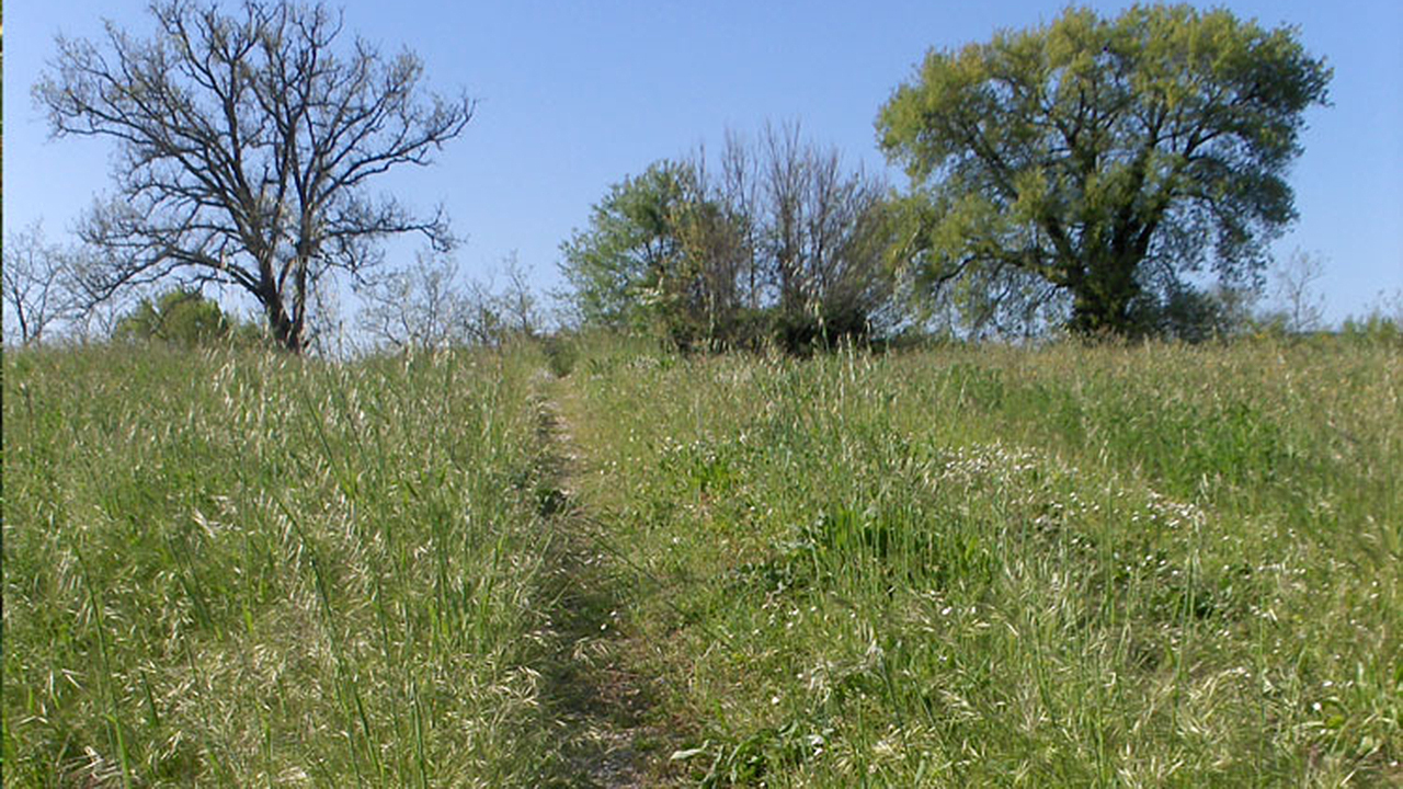 Percorsi ciclabili immersi nella natura nella valle del Cesano