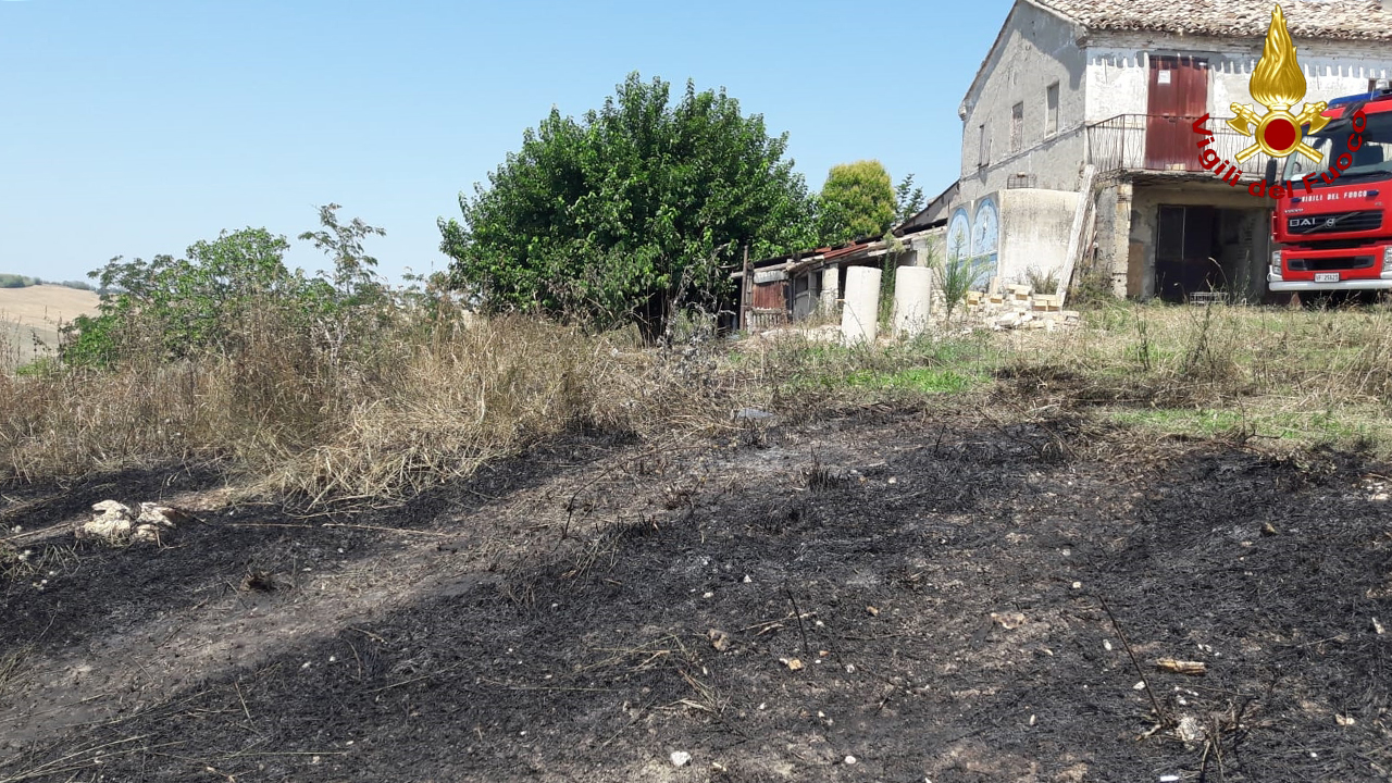 Il terreno a Osimo dove si è verificato un rogo