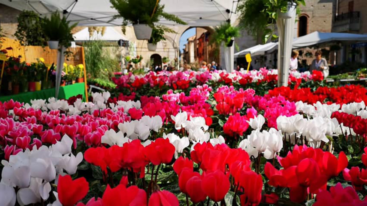 Uno scorcio della Festa dei Fiori 2019 a Fano