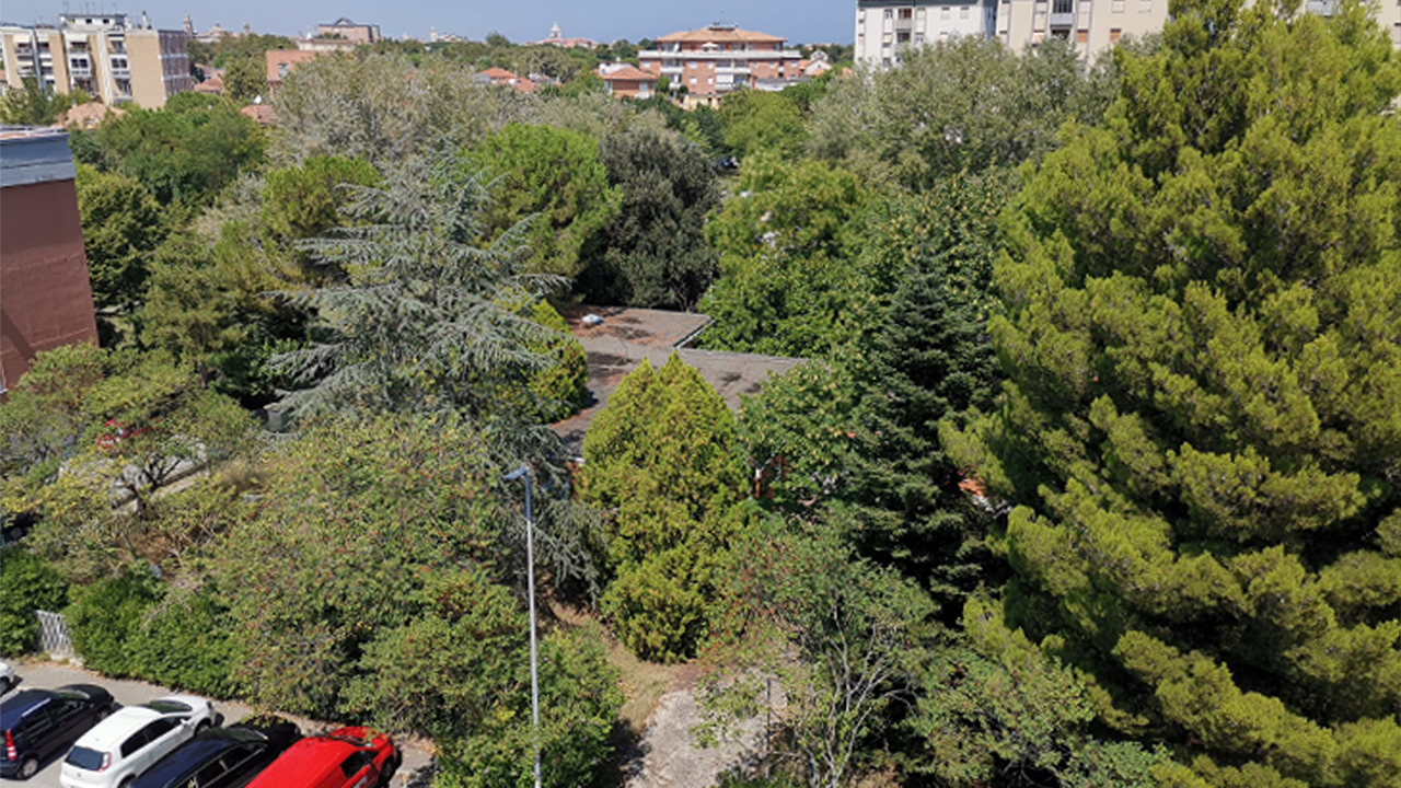 L'ex asilo in via delle Mimose a Senigallia immerso nel verde. Foto del comitato “Salviamo gli alberi e la scuola di via delle Mimose”