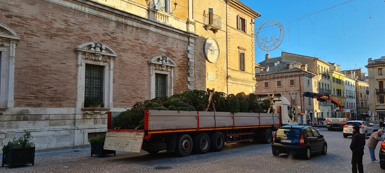 L'arrivo dell'albero