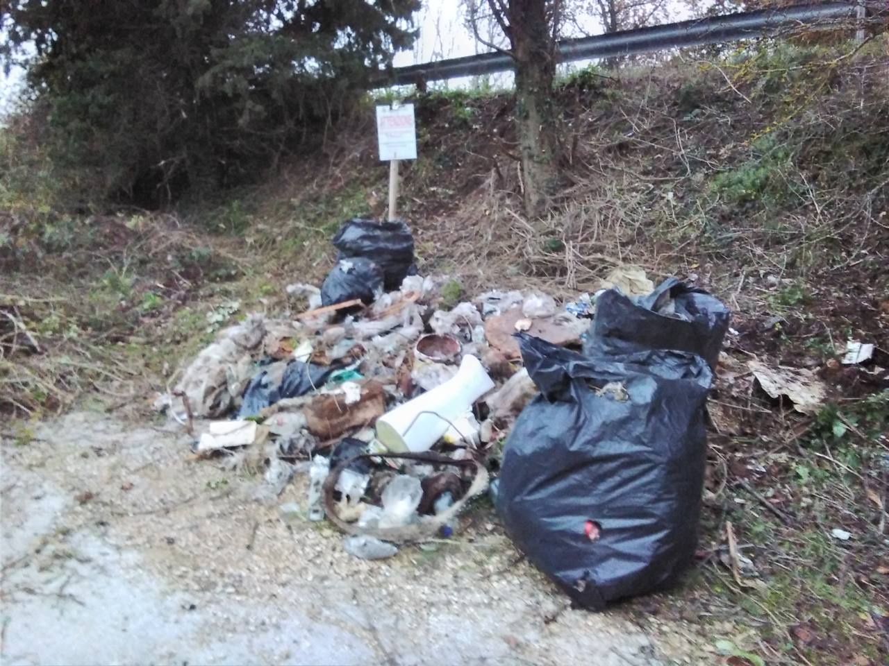 Fiume Misa, volontari puliscono un tratto da rifiuti e vegetazione in eccesso