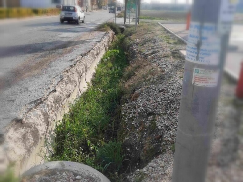 Uno dei tanti canali di scolo e fossi intasati da terreno, erbacce e rifiuti a Senigallia