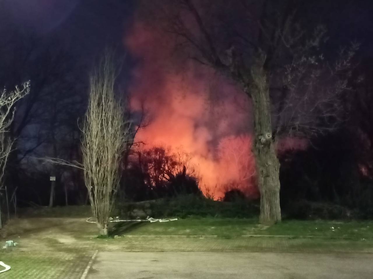 L'incendio scoppiato tra la vegetazione sul fiume Cesano a Senigallia