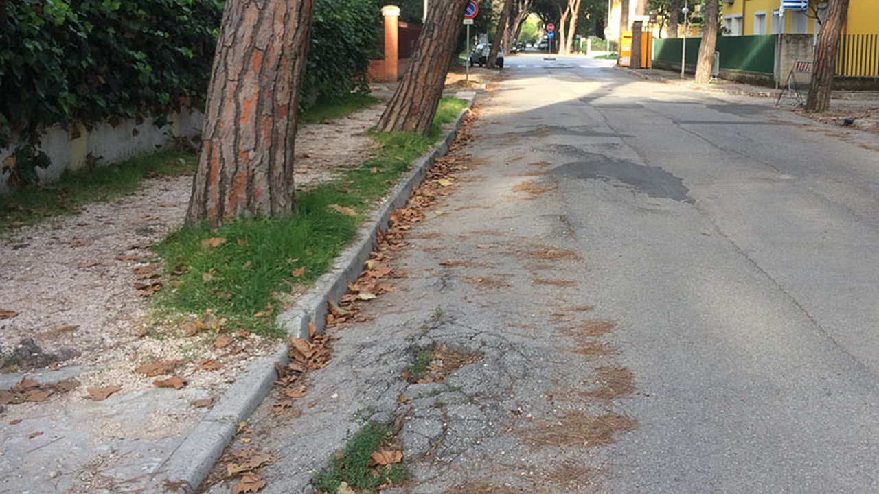 Grossi disagi alla circolazione in viale Anita Garibaldi a Senigallia dove si ipotizza in futuro anche una pista ciclabile