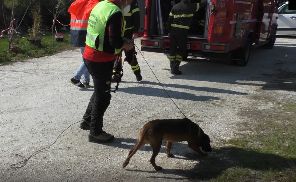 Vigili del fuoco, le ricerche nel Pesarese