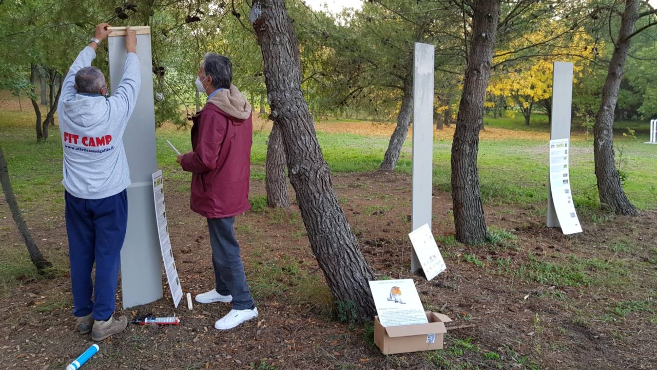 L'allestimento delle attività didattiche all'area verde Boscomio grazie a Sena Nova