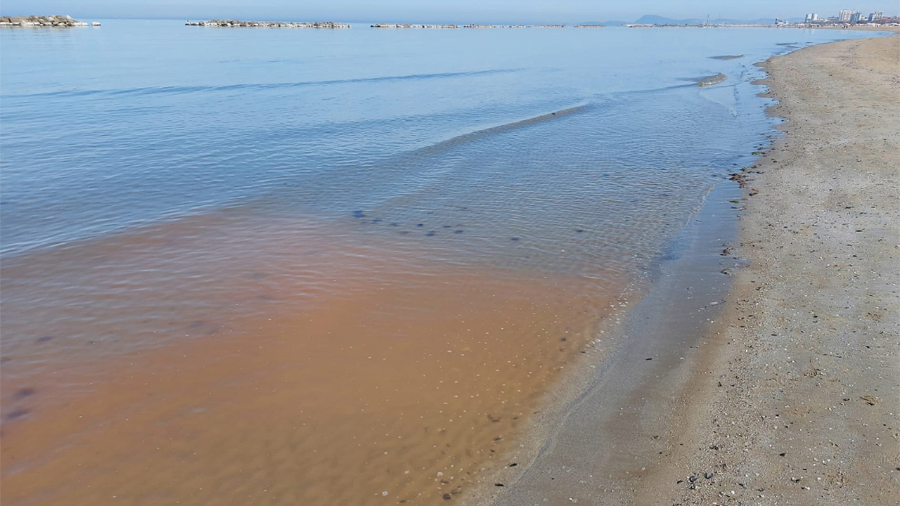 Macchie rossastre in mare, eutrofizzazione, microrganismi, Senigallia