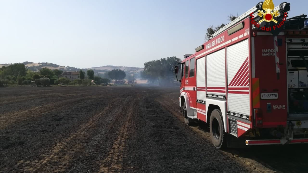 I vigili del fuoco in azione per domare il vasto incendio in un terreno a Corinaldo