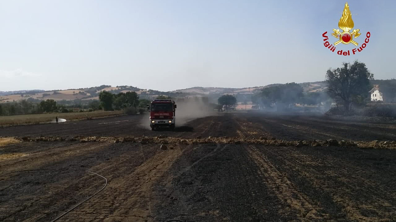I vigili del fuoco in azione per domare il vasto incendio in un terreno a Corinaldo