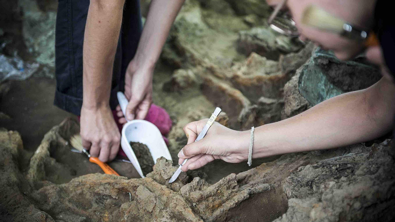 Dagli scavi archeologici è stato rinvenuto anche un elmo a calotta composita in bronzo, corredo della cosiddetta "Tomba del Principe di Corinaldo", Ph. Giorgi