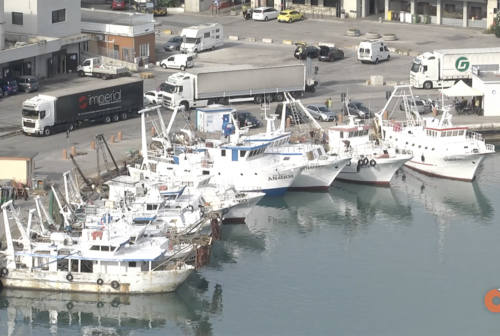 Il Porto di Ancona si trasforma: ecco la novità per le barche e le navi