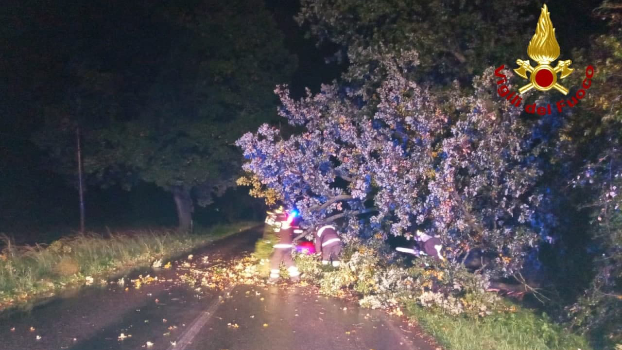 Uno degli interventi dei vigili del fuoco per liberare le strade dagli alberi caduti per il maltempo