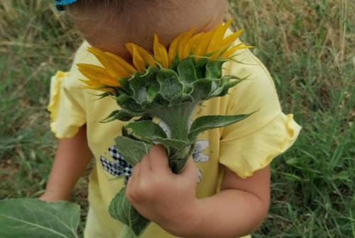 Agricoltura sociale, l’agrinido di qualità è un ritorno alla natura per i bambini