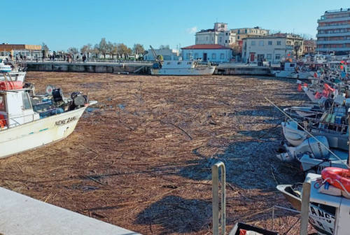 Senigallia alla conta dei danni: tonnellate di detriti riversati sulla spiaggia e nel porto