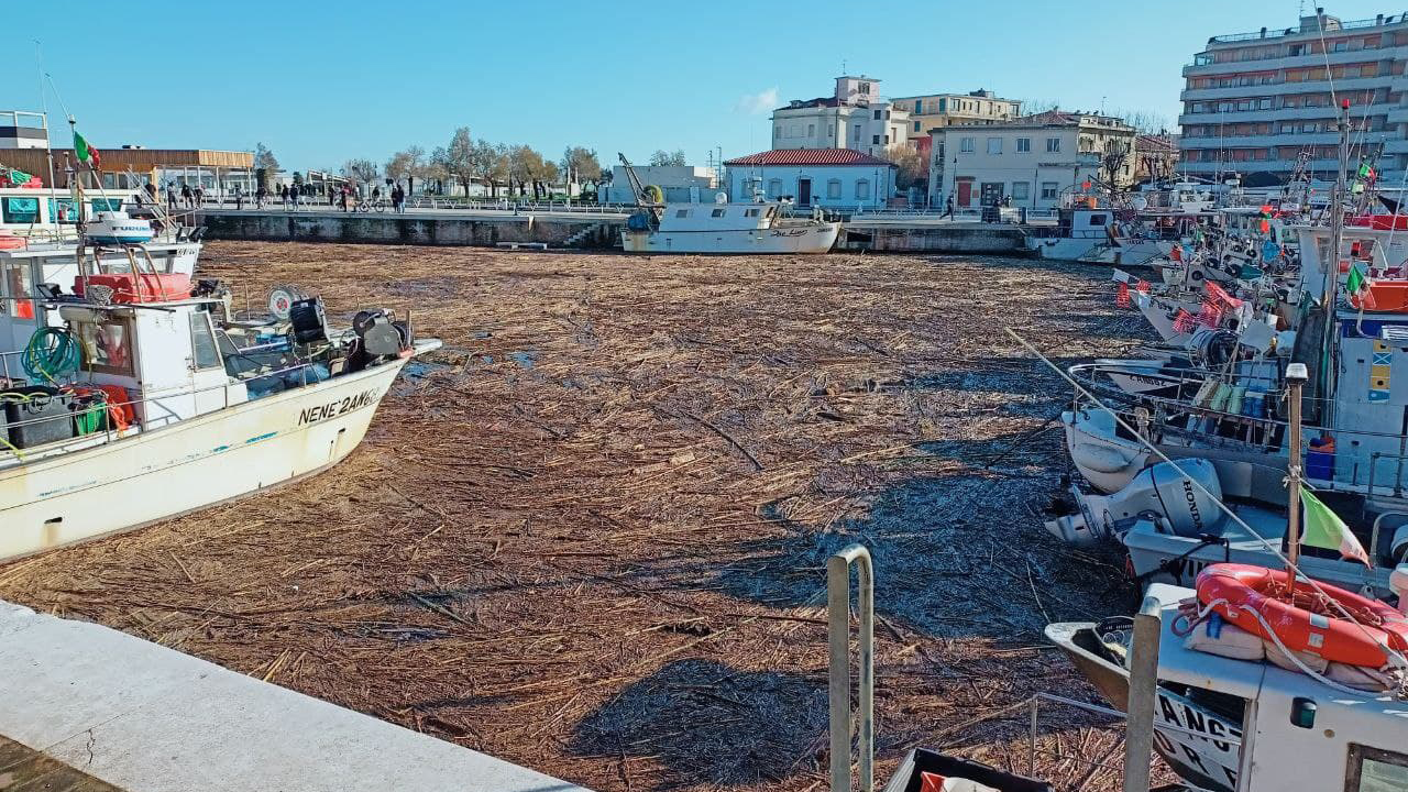 Il porto di Senigallia dopo il maltempo dell'11 dicembre 2021: tonnellate di detriti hanno invaso la darsena
