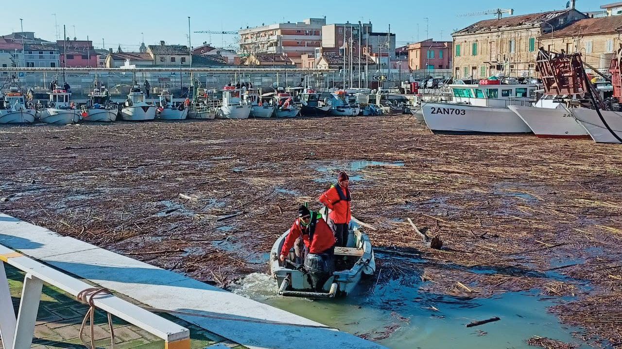 Lavori in corso per liberare la darsena del porto di Senigallia dai detriti del maltempo dell'11 dicembre 2021