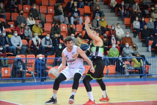 Basket, per Goldengas Senigallia arriva un derby da non fallire: visita al Montegranaro