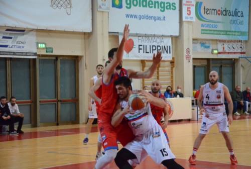 Basket, la Goldengas Senigallia esplode alla sirena: battuta Faenza allo scadere