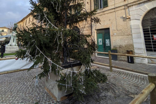Camerano, albero incendiato dai vandali: il sindaco lo riaccende