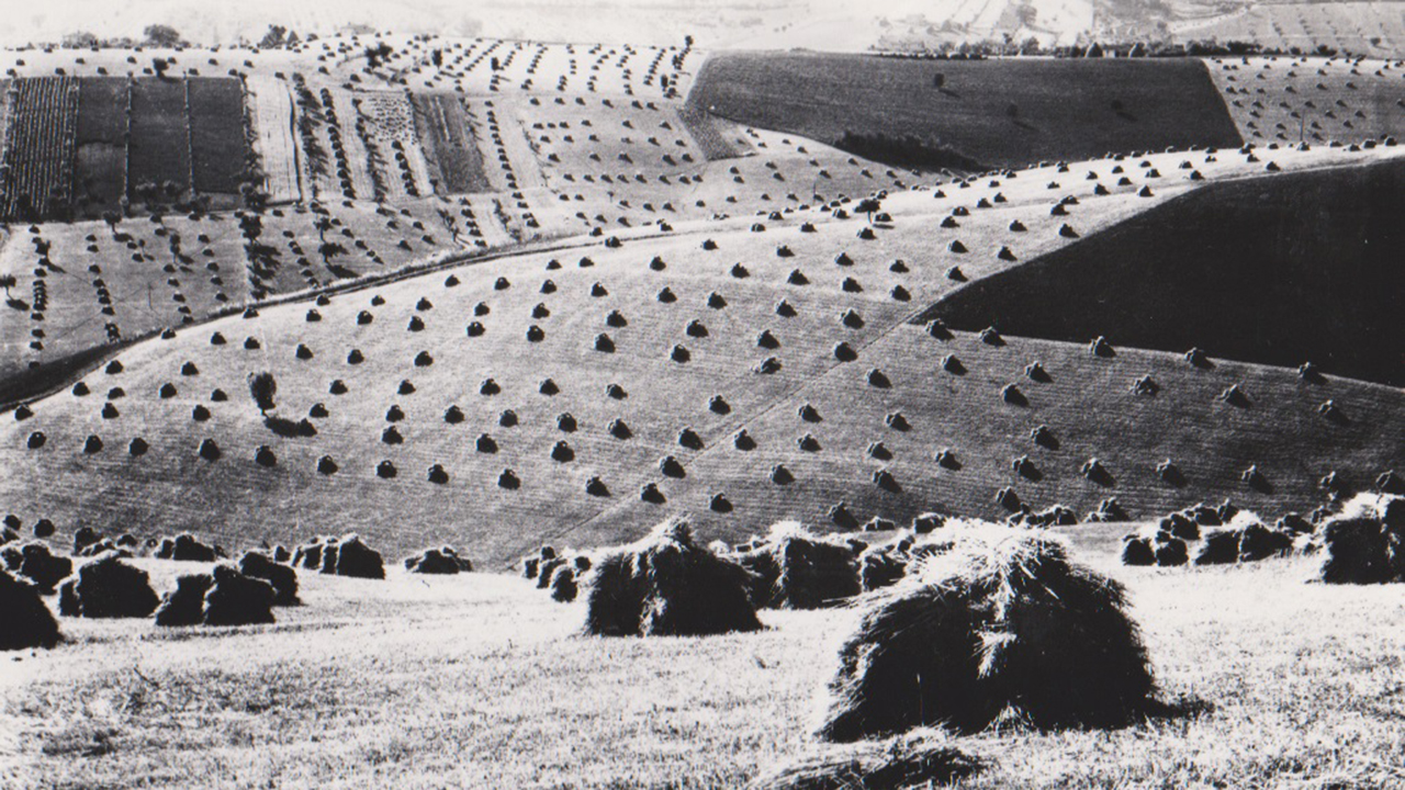 Paesaggio marchigiano, dalla serie “Agreste” – 1967 © Renzo Tortelli