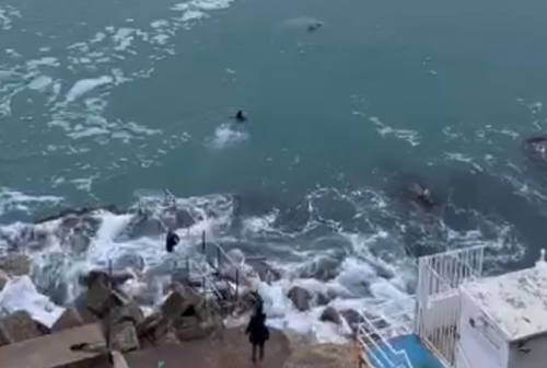 Ancona: uomo in mare, ragazza si tuffa nell’acqua gelata per salvarlo