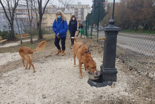 Una nuova area cani per Falconara: inaugurato lo spazio in via Castellaraccia