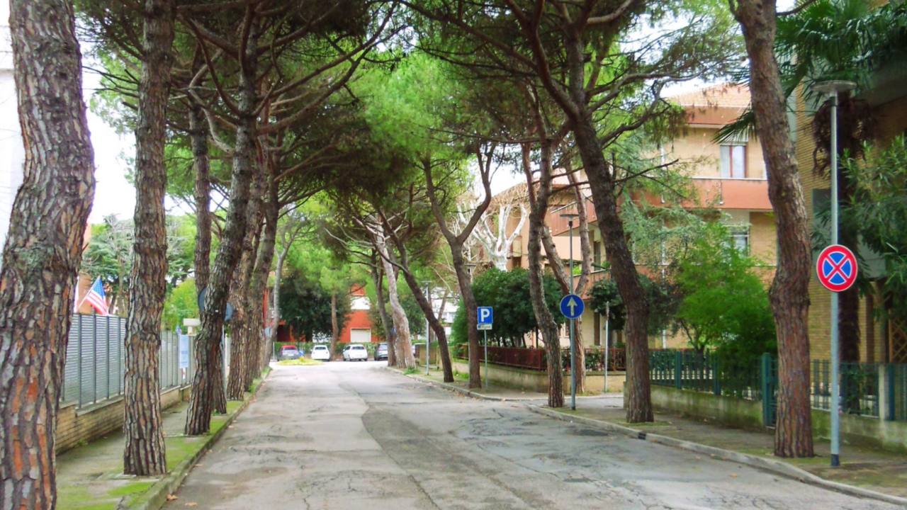 Senigallia, viale Anita Garibaldi: i grandi pini marittimi creano dissesti su strade e marciapiedi. Chiesta la sostituzione degli storici alberi